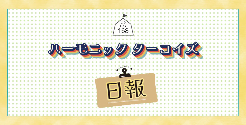 ハーモニックターコイズの日報